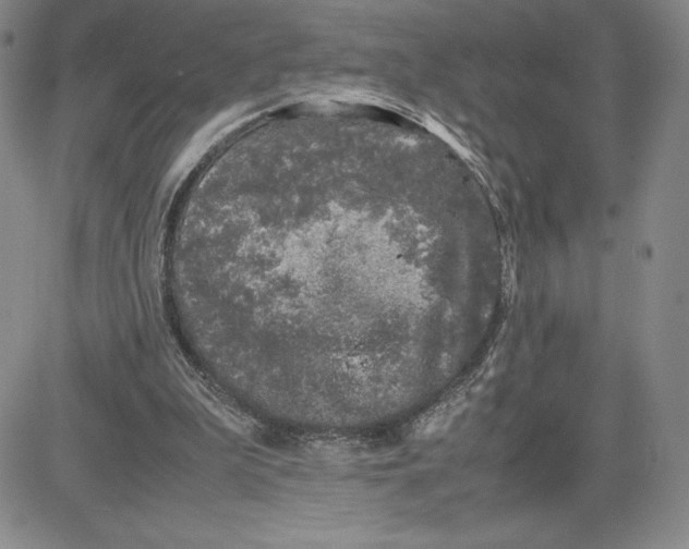 X0000080810199200701051158