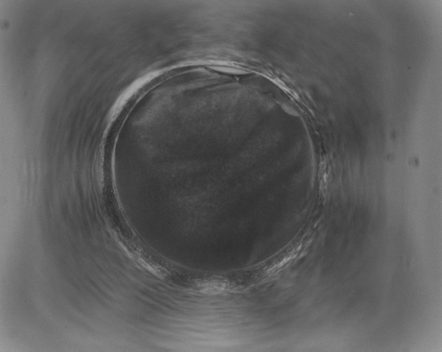 X0000080810200200701051158