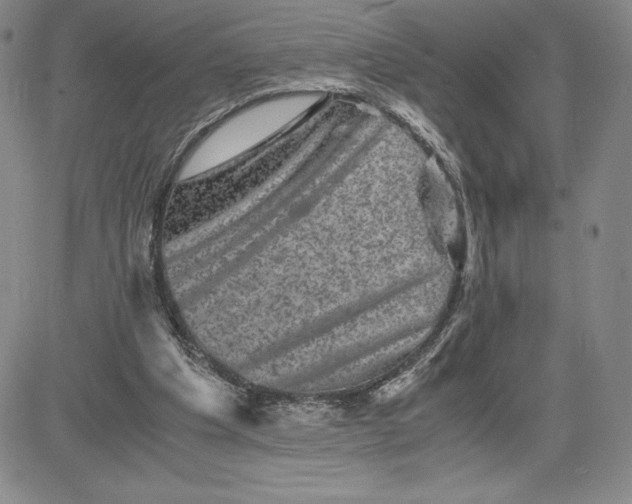 X0000080810201200701051158