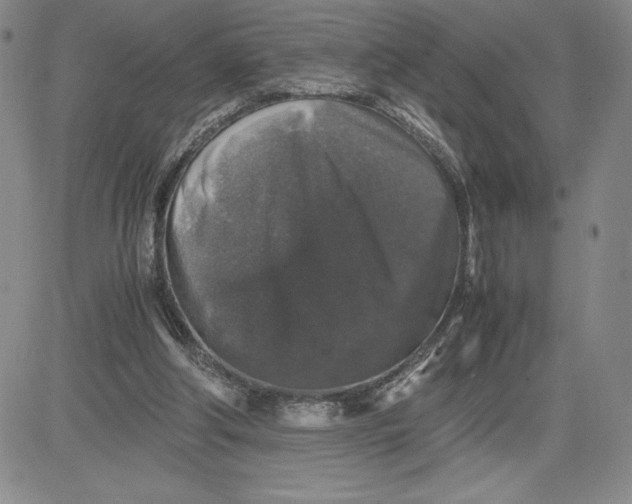 X0000080810202200701051158