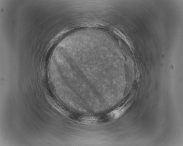 X0000080810203200701051158