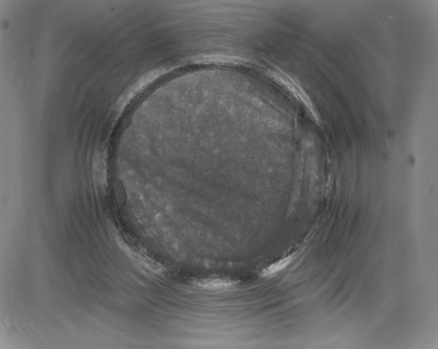 X0000080810204200701051158