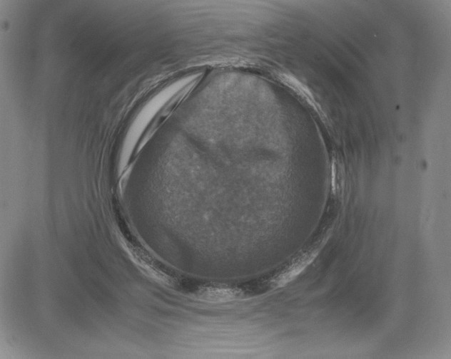 X0000080810205200701051158