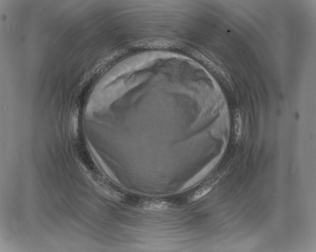 X0000080810206200701051158