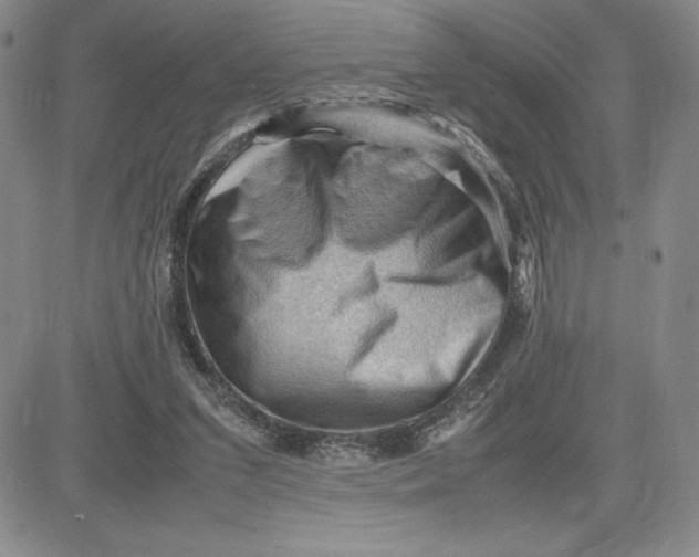 X0000080810207200701051158