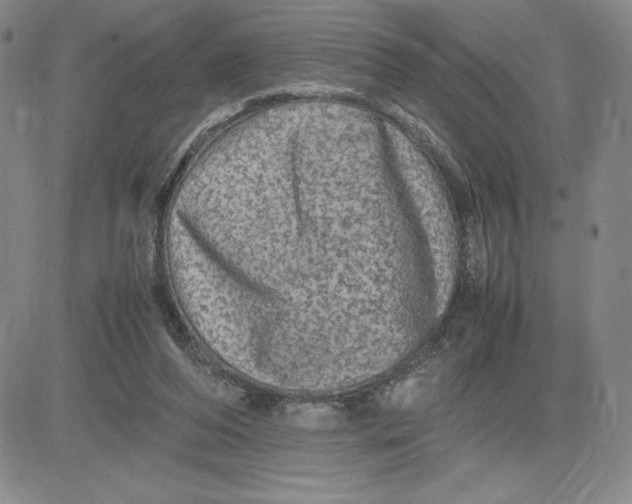 X0000080810208200701051158