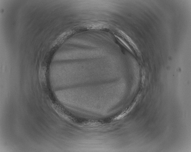 X0000080810209200701051158