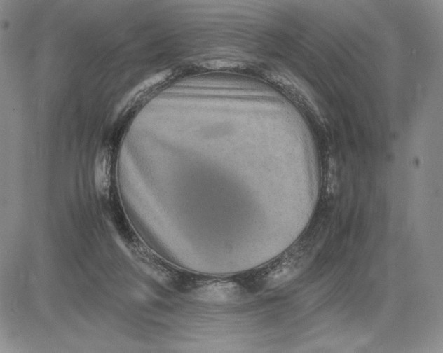 X0000080810210200701051158