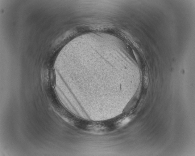 X0000080810211200701051158