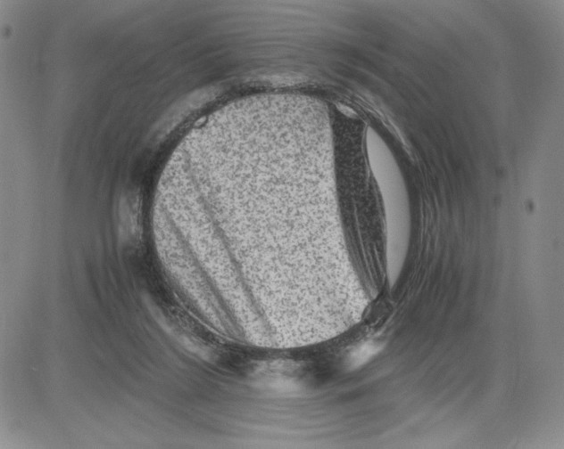 X0000080810212200701051158