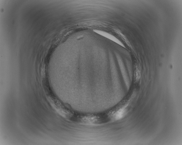 X0000080810213200701051158