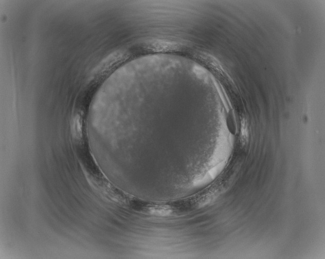 X0000080810214200701051158