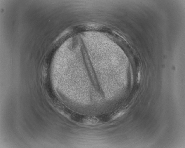 X0000080810215200701051158