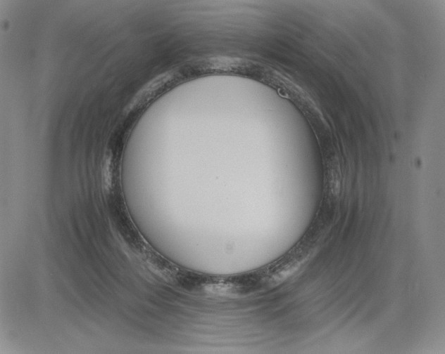 X0000080810216200701051158