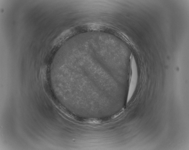 X0000080810217200701051158