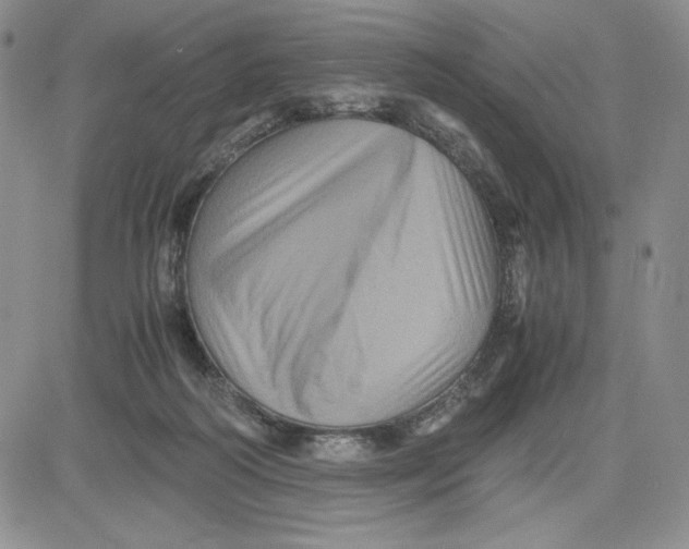 X0000080810218200701051158