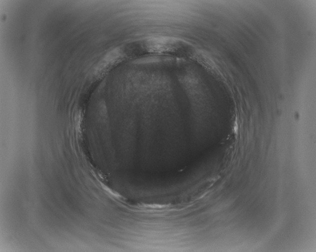 X0000080810219200701051158