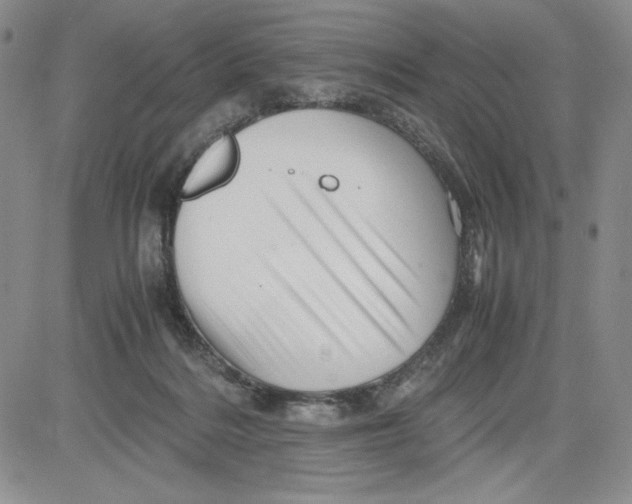 X0000080810220200701051158