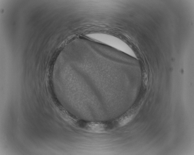 X0000080810221200701051158