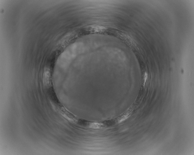 X0000080810222200701051158