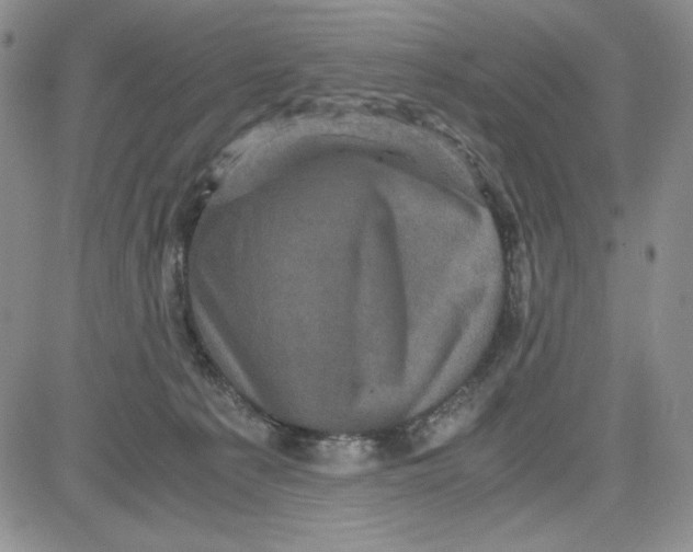 X0000080810225200701051158