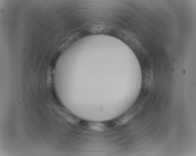 X0000080810226200701051158