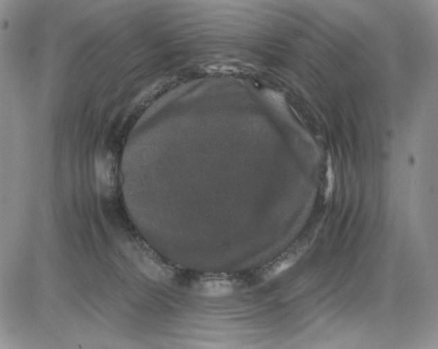 X0000080810228200701051158