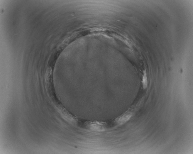 X0000080810229200701051158