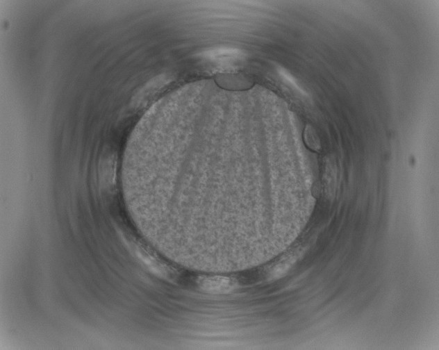 X0000080810230200701051158