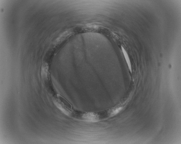 X0000080810231200701051158