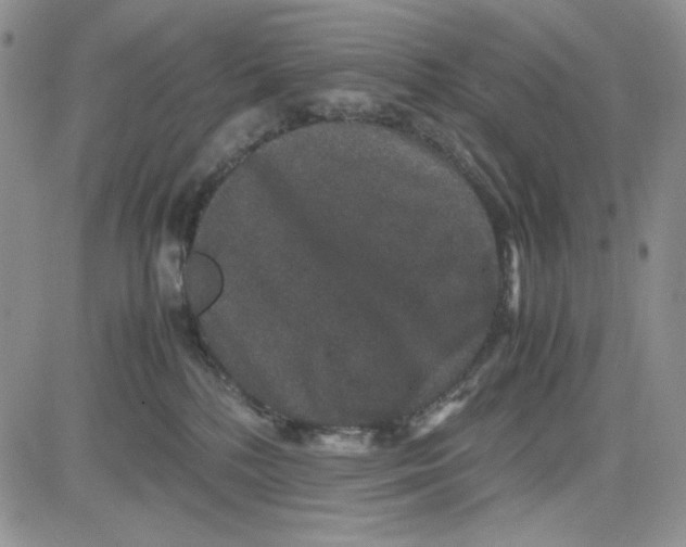 X0000080810232200701051158