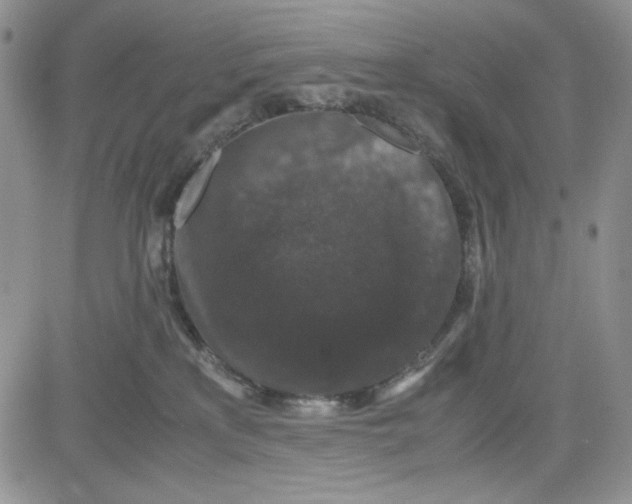 X0000080810233200701051158