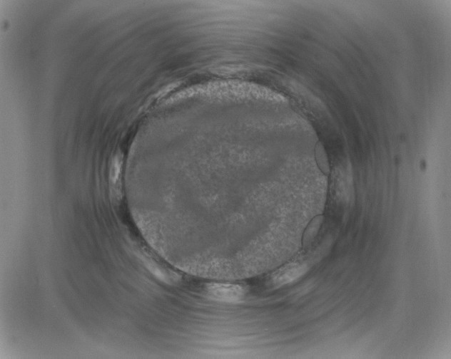 X0000080810234200701051158