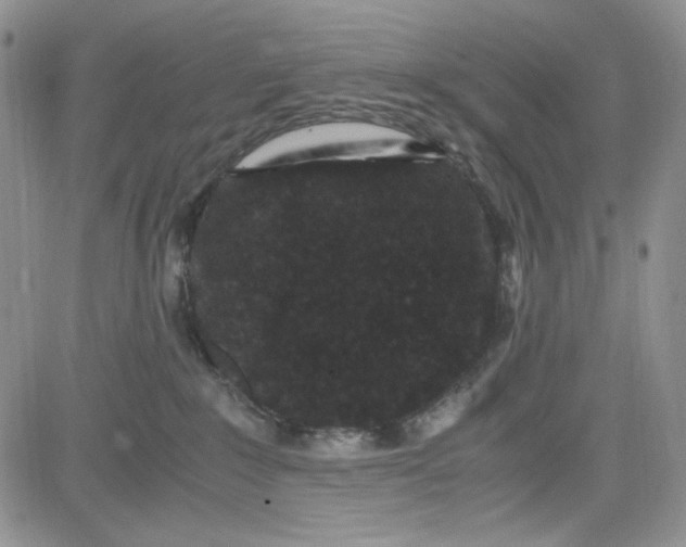 X0000080810235200701051158