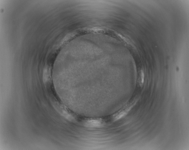 X0000080810236200701051158