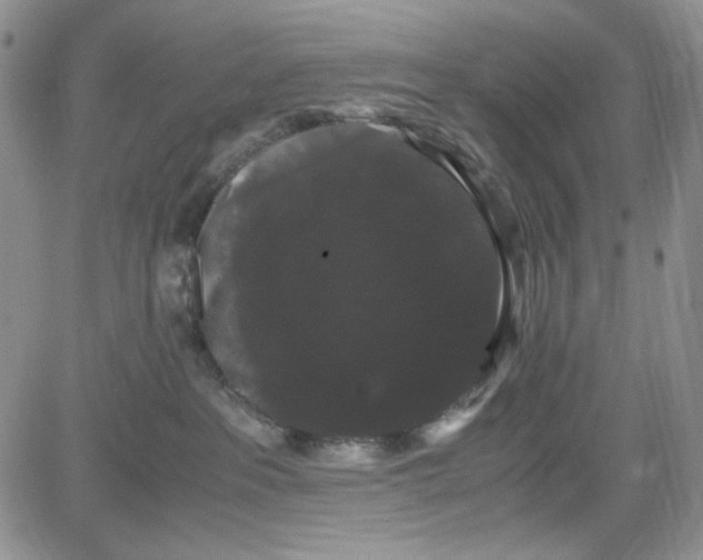 X0000080810237200701051158