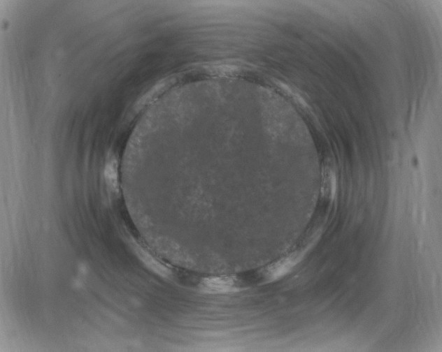 X0000080810238200701051158