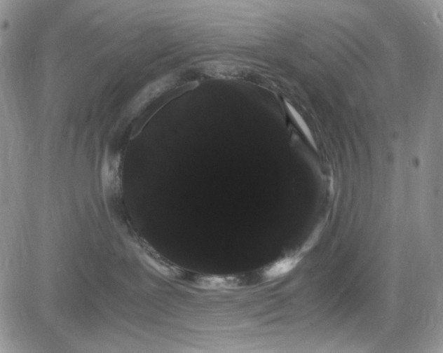 X0000080810239200701051158