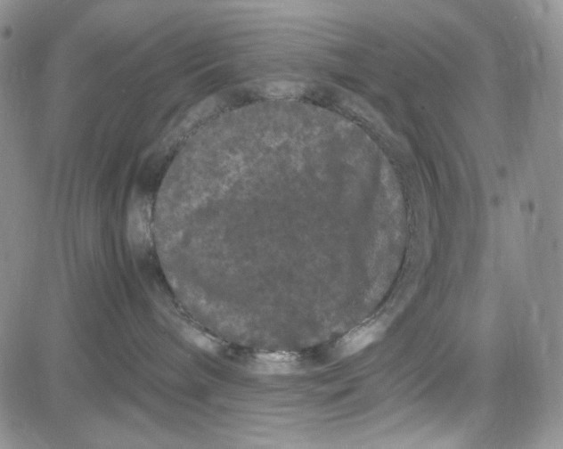 X0000080810240200701051158