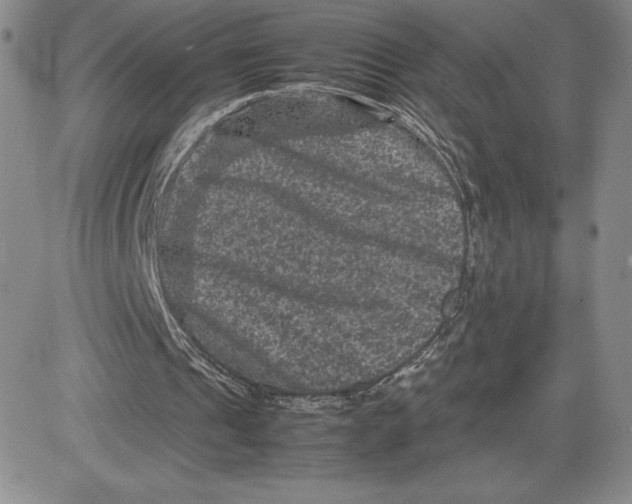 X0000080810241200701051157