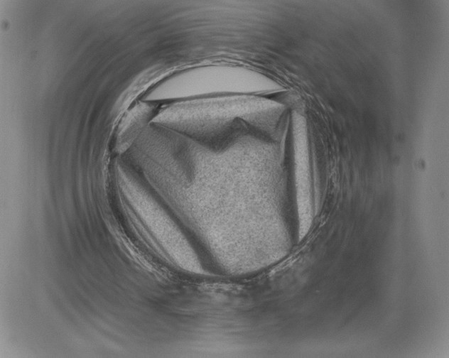 X0000080810242200701051157