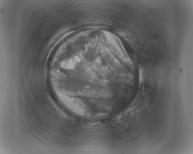 X0000080810243200701051157