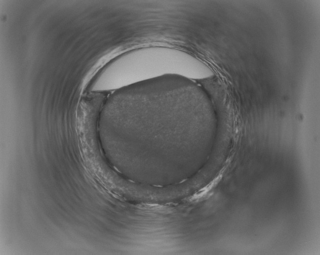 X0000080810244200701051157