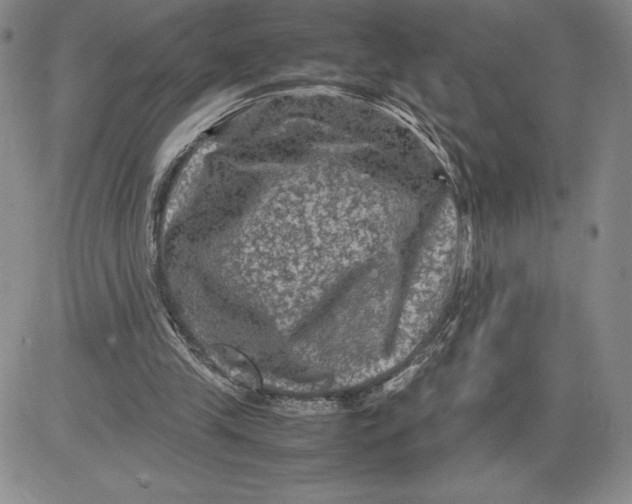 X0000080810245200701051157