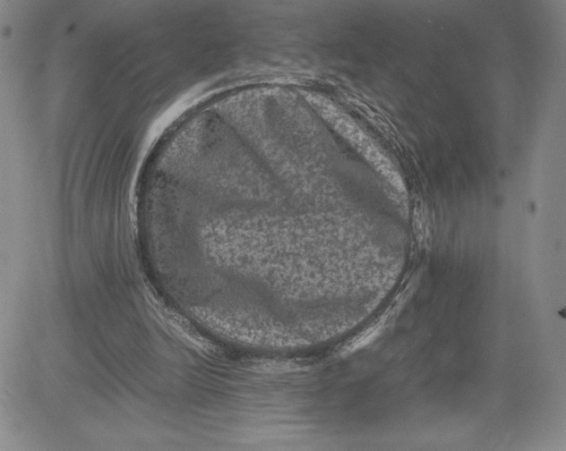 X0000080810246200701051157