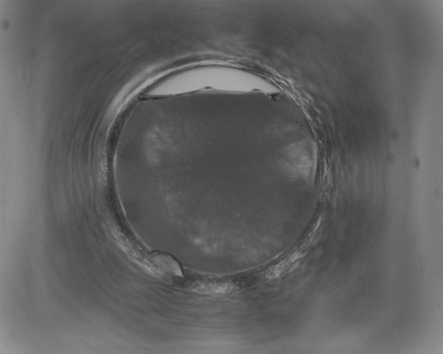 X0000080810247200701051157