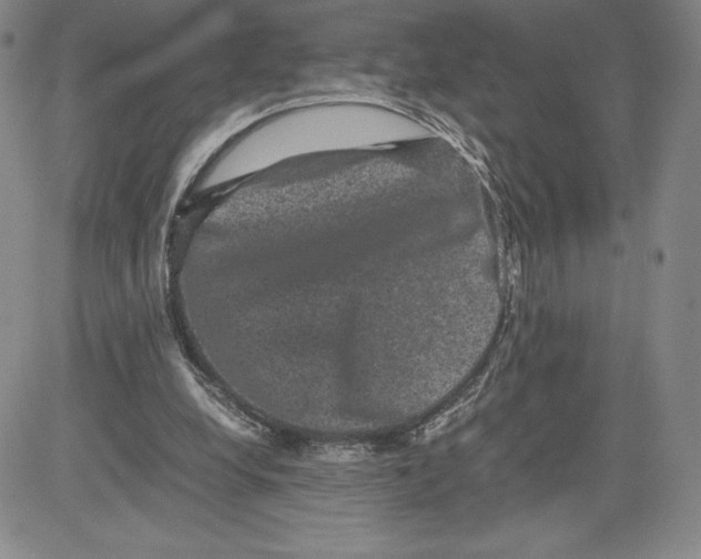 X0000080810248200701051157