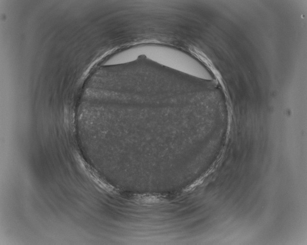 X0000080810249200701051157