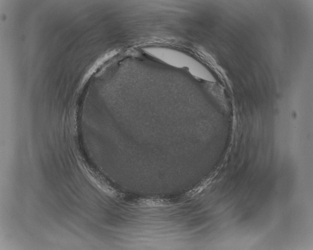 X0000080810250200701051157