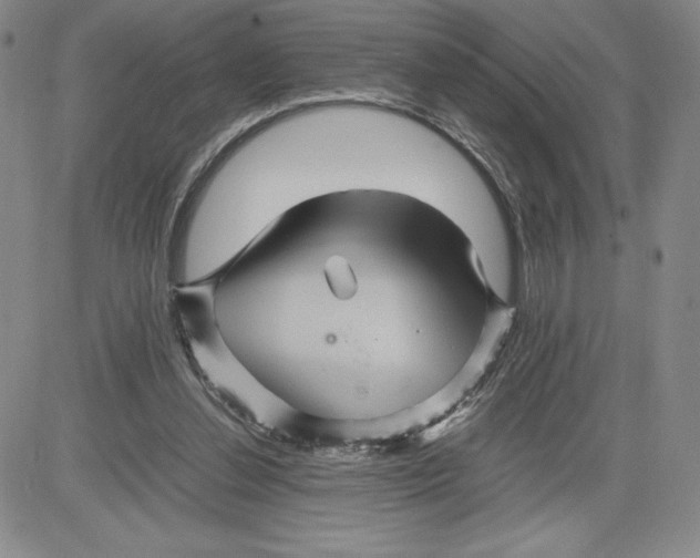 X0000080810252200701051157